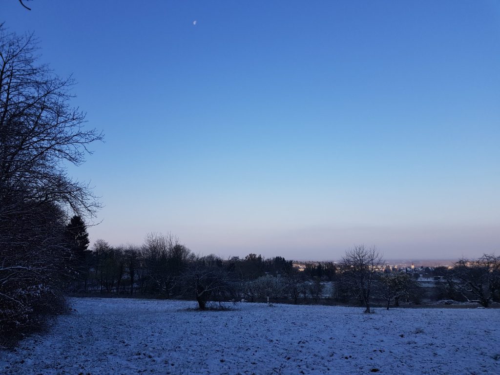 Blick von meinem Sitzplatz an einem klaren Wintermorgen