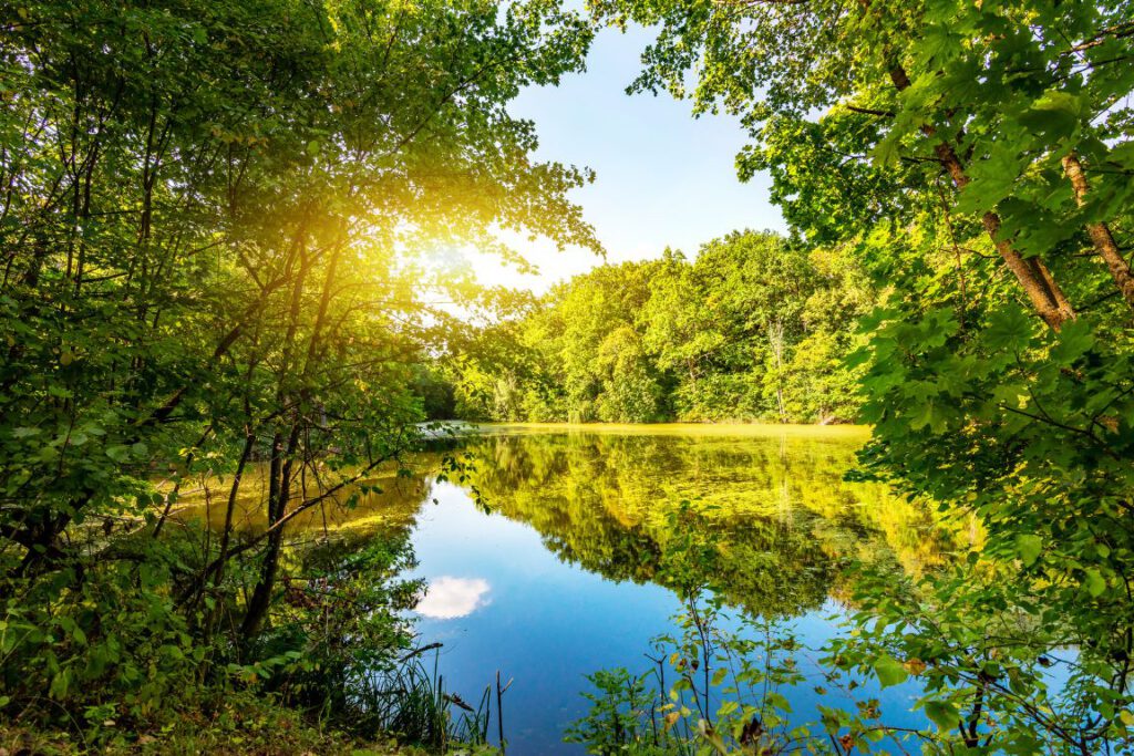 Waldsee in ruhiger Morgenstimmung, Bäume spiegeln sich im Wasser, Sonnenstrahlen brechen durch die Wolken – Symbol für Klarheit, Ruhe und Selbstreflexion.