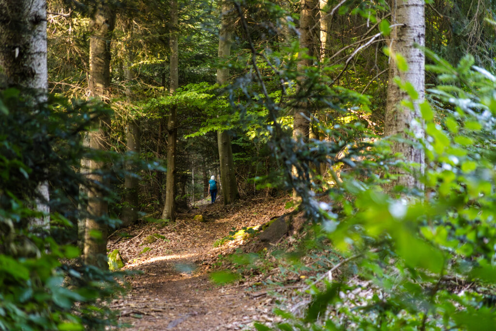 Anne Christoph beim Gesundheitscoaching in der Natur