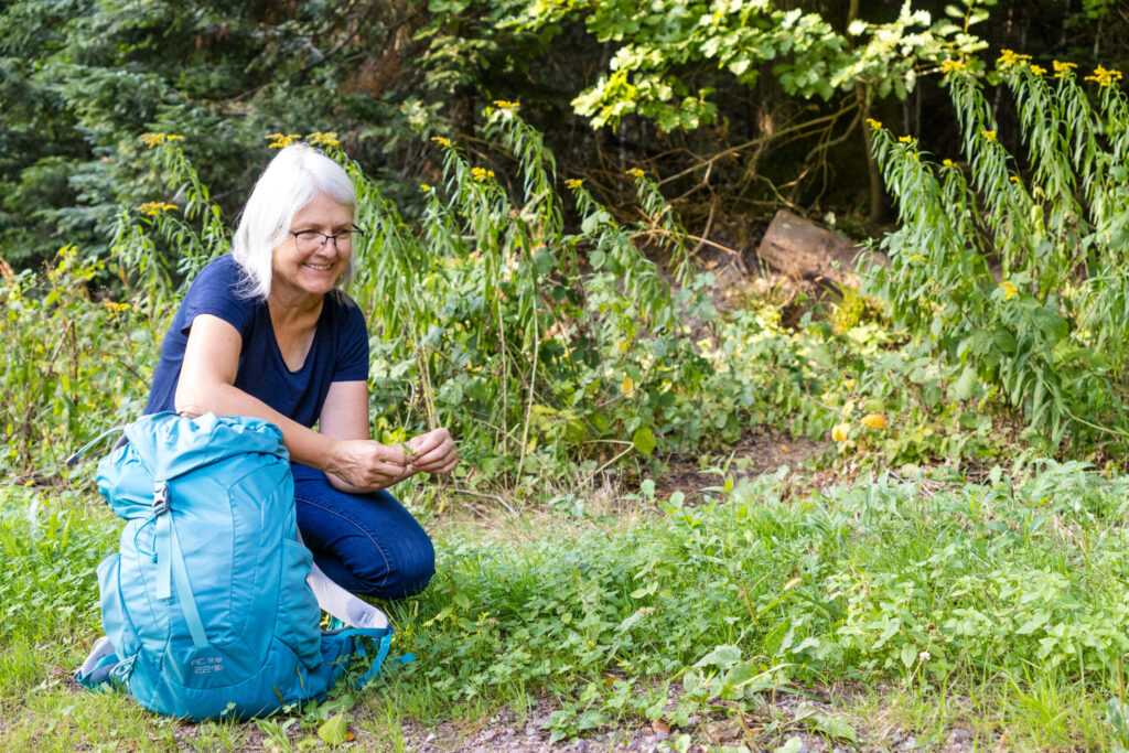 Naturcoach Anne Christoph bestimmt eine Pflanze während eines Coachings in der Ortenau“